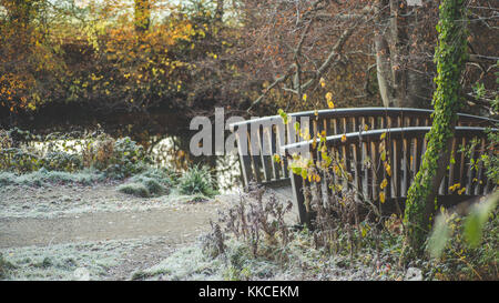 Erste Anzeichen von Winter mit frostigen Reim über Castletown Park. Kaltes Wetter als Temperatur unter Null in Celbridge, Kildare, Irland Stockfoto