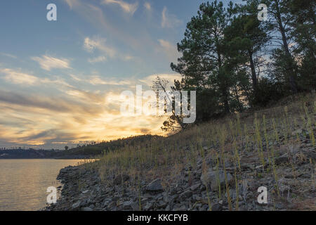 Blick auf den See mit Sonnenuntergang Algen und Steine. Serra de Tomar. Portugal Stockfoto
