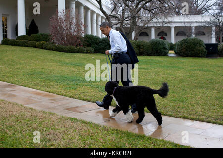 Präsident Barack Obama geht auf das Oval Office mit Bo, die Familie Obama Hund, nach der Rückkehr von der Christmas shopping trip, Dec. 21., 2011. Stockfoto