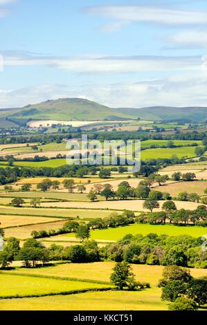 Südwestlich von Wenlock Edge in der Nähe von Easthope über die Sommerlandschaften von Ape Dale bis Caer Cardoc und The Long Mynd, Shropshire, England Stockfoto