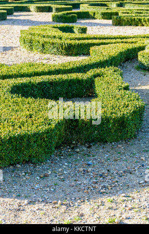 Teilansicht der Buchsbaum in Form einer Fleur-de-Lis in einem französischen Garten getrimmt. Stockfoto