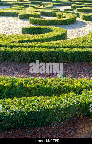 Getrimmt Buchsbaum in einem französischen Garten. Stockfoto