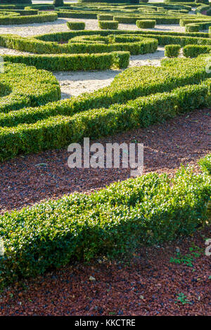 Getrimmt Buchsbaum in einem französischen Garten. Stockfoto