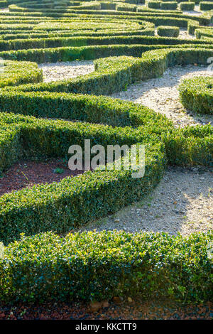 Getrimmt Buchsbaum in einem französischen Garten. Stockfoto