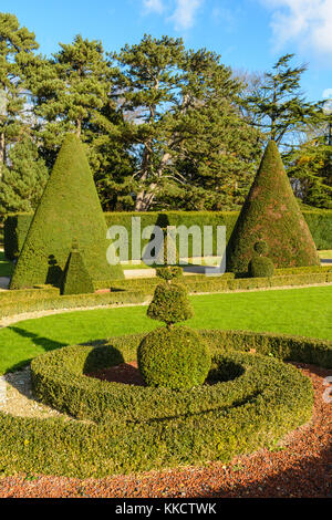 Getrimmt, Buchsbaum und Eiben in einem französischen Garten. Stockfoto