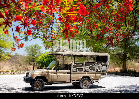 Safari Fahrzeug auf onguma Bush Camp, onguma Game Reserve, Namibia, Afrika Stockfoto