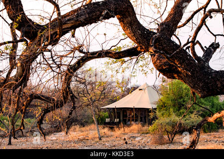 Zelt außen auf Onguma Tented Camp, onguma Game Reserve, Namibia, Afrika Stockfoto