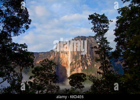 Angel Falls - Blick auf den höchsten Wasserfall der Erde in den frühen Morgenstunden Stockfoto