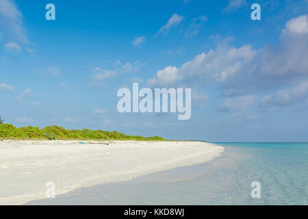 Tropisches Paradies Strand mit türkisblauen Stockfoto