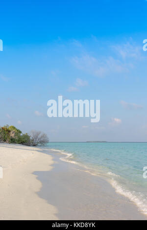 Tropisches Paradies Strand mit türkisblauen Stockfoto