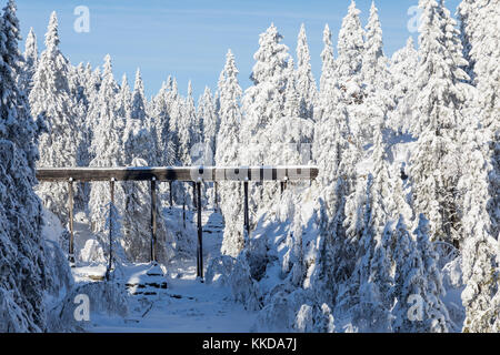 Holz- Aquädukt aus alten Silberminen umgeben von Schnee bedeckt Stockfoto