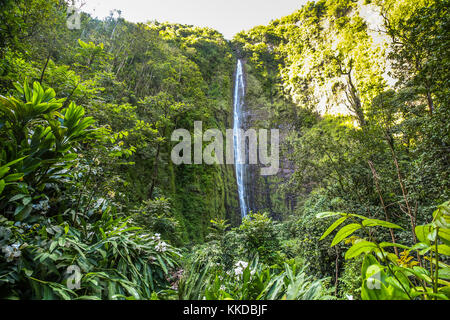 Hohe Waimoko fällt auf Maui auf Hawaii Stockfoto