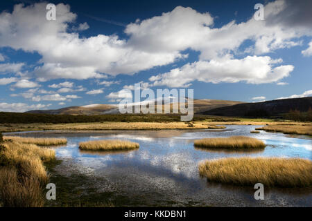 Brecon Beacons, Gipfeltreffen der Pen y Fan und Mais Du von mynydd Illtud, Wales, Großbritannien Stockfoto