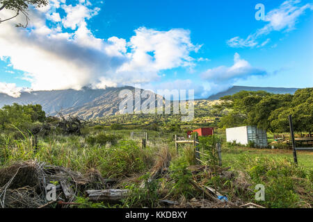 Blick auf die Landschaft der Insel Maui auf Hawaii Stockfoto