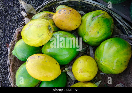 Papaya frische Früchte für den Verkauf am Wochenmarkt in Mauritius. Stockfoto
