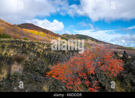 Fall am Vulkan Ätna mit schönen Farben an den Seiten. Im November 2017 erfasst Stockfoto