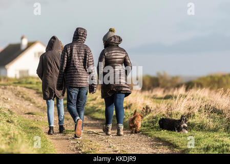 Hundespaziergang - eine Familie, die ihre Hunde entlang eines Fußweges auf East Pentire Newquay Cornwall UK führt. Stockfoto