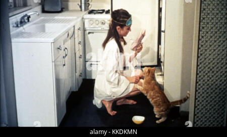 Ein Foto von Audrey Hepburn, der legendären Schauspielerin, zeigt ihre Eleganz und ihren Sinn für Mode. Möglicherweise trägt sie Sommerkleidung oder Schuhe, die ihren zeitlosen Stil widerspiegeln. Stockfoto