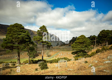 Landschaft Blick auf das Tal unter luggala Berg von lough dan Spaziergang in den Wicklow Mountains, Irland Stockfoto