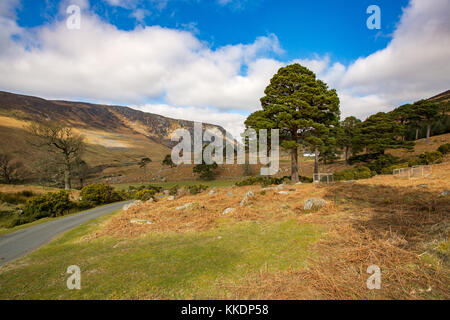 Landschaft Blick auf das Tal unter luggala Berg von lough dan Spaziergang in den Wicklow Mountains, Irland Stockfoto