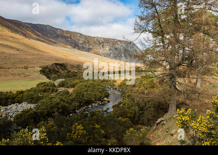 Landschaft Blick auf das Tal unter luggala Berg von lough dan Spaziergang in den Wicklow Mountains, Irland Stockfoto