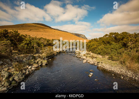 Landschaft Blick auf das Tal unter luggala Berg von lough dan Spaziergang in den Wicklow Mountains, Irland Stockfoto