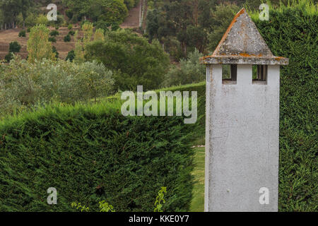 Chamine von altes Haus, umgeben von Grün. Stockfoto