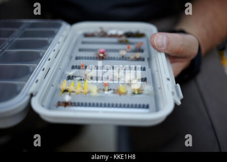 Fliegenfischer Kontrolle seiner Bekämpfung box für Hand gebunden Feder fliegt für Süßwasser Angeln in der Nähe zu sehen, der seine Hand Stockfoto