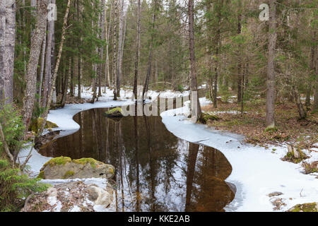 Teilweise gefrorenen Wald Fluss Stockfoto