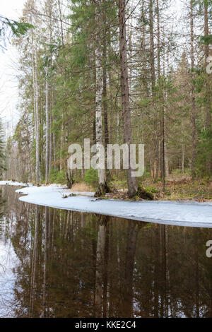 Teilweise gefrorenen Wald Fluss Stockfoto