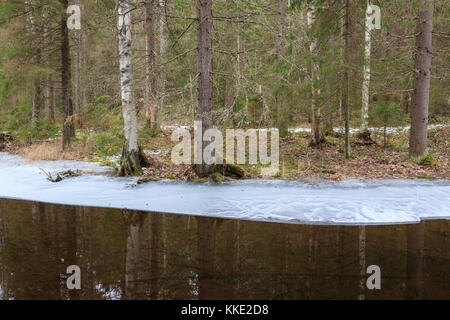 Teilweise gefrorenen Wald Fluss Stockfoto