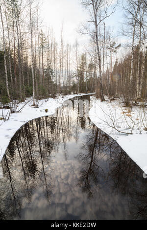 Teilweise gefrorenen Wald Fluss Stockfoto