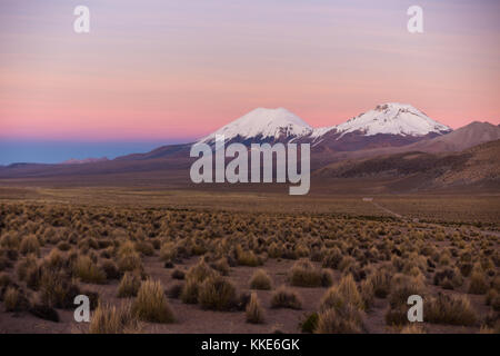 Sonnenuntergang in der Anden. parinacota und pomerade Vulkane. hohe andenlandschaft in den Anden. Anden tundra Landschaft in den Bergen der Anden. Stockfoto