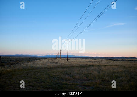 Linie der Strommasten in einem Colorado Landschaft bei Sonnenuntergang in einem rückläufigen Blick über Wiesen mit fernen Bergen Stockfoto