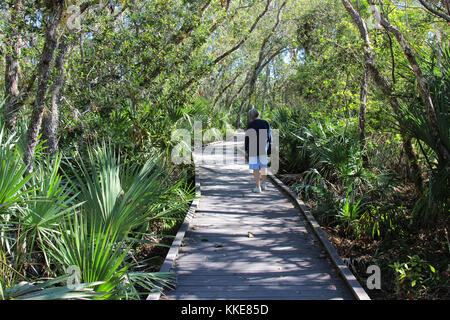 Frau zu Fuß entlang der Promenade auf Merritt Island National Wildlife Refuge Florida Stockfoto