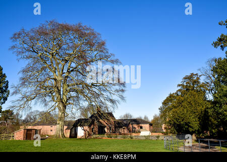 Umfassende Sicht auf den Bauernhof im Inneren Shugborough Hall Estate, Staffordshire, England Stockfoto