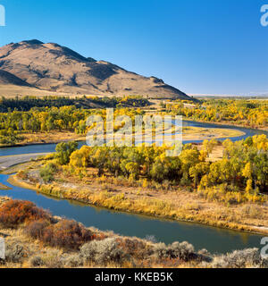 Herbst Farben entlang der Jefferson River in der Nähe von Whitehall, Montana Stockfoto