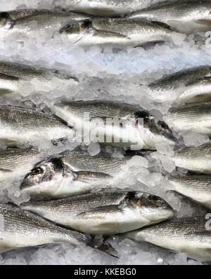 Vergoldeten Kopf Fisch auf Eis Stockfoto