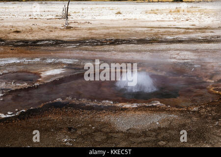 Zimt Wasserspeier thermische Funktion in schwarzen Sand Geyser Basin, Yellowstone National Park Stockfoto