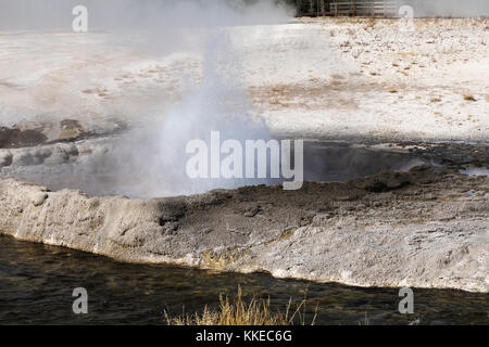 Cliff Geysir thermische Funktion in schwarzen Sand Geyser Basin ausbrechenden, Yellowstone National Park Stockfoto