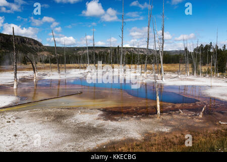 Opaleszierende pool thermische Funktion in schwarzen Sand Geyser Basin, Yellowstone National Park Stockfoto