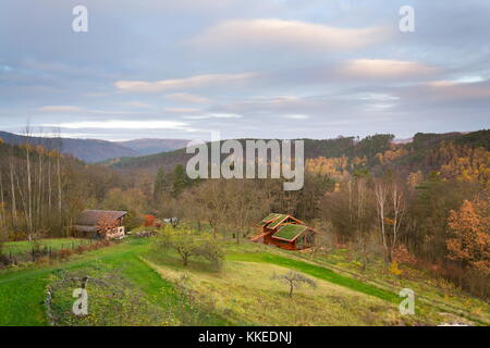 Grüne Wohnzimmer sod Dach mit Gras auf Gebäude aus Holz Stockfoto