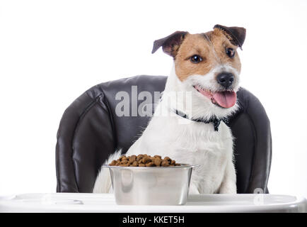Niedlichen Hund und Trockenfutter in der Schüssel Stockfoto