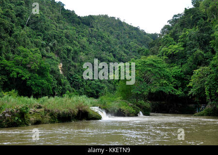 Philippinen, Visayas Insel, Loboc river Stockfoto