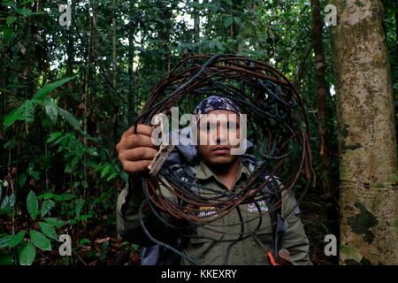 Aceh, Indonesien. 30 Nov, 2017. eine indonesische Förster einen Draht trap er während einer Rettungsdienst für gefährdete Tiere von Jägern am National Park in der Provinz Aceh, Indonesien leuser gefunden, Nov zeigt. 30, 2017 bedrohte Tiere im Leuser Nationalpark werden von Jagden und die anhaltende Entwaldung. Credit: junaidi/Xinhua/alamy Leben Nachrichten bedroht Stockfoto