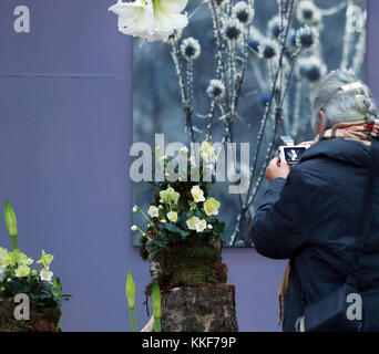 Frankfurt, Deutschland. Dezember 2016. Eine Frau fotografiert in der Weihnachtsausstellung im Palmengarten in Frankfurt am 5. Dezember 2016. Quelle: Luo Huanhuan/Xinhua/Alamy Live News Stockfoto