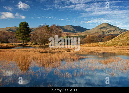 Reflexionen in Kelly Halle Tarn, mit dem alten Mann von coniston ziert den Hintergrund Stockfoto