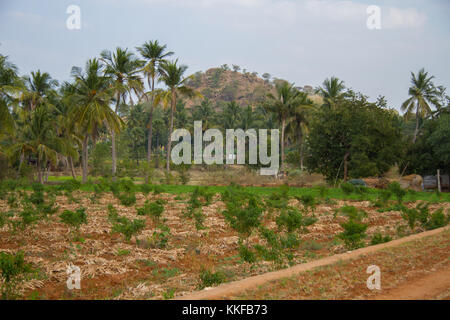 Landschaft im südlichen Indien Andhra predesh mit blauem Himmel Stockfoto