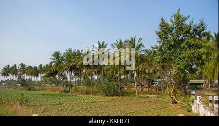 Landschaft im südlichen Indien Andhra predesh mit blauem Himmel Stockfoto