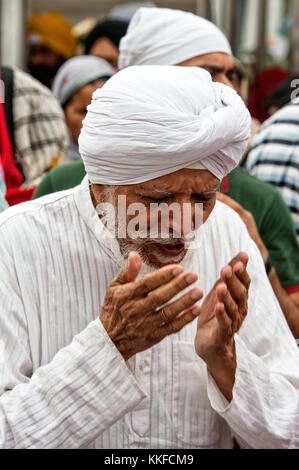 Sikh Mann an Gurudwara Tempel - New Delhi, Indien alten indischen Sikh Mann in traditioneller Kleidung, Gurudwara Tempel, 03. Juli 2016. © Antonio Ciufo Stockfoto